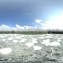 Garden Winter Backdrop Day