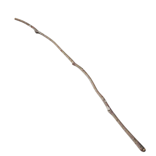 Debris and twigs