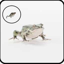 Frog (full animated)