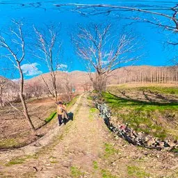 Spring Mountain Orchard Green Valley Trail HDRI