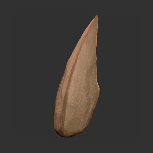 Scarred Claw