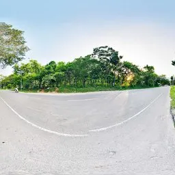 Forest Road Sunset HDRI