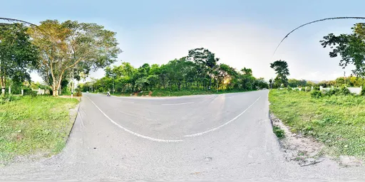 Forest Road Sunset HDRI
