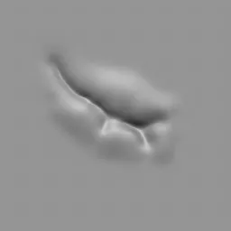 3D Blender sculpting brush effect for creating realistic male back muscles on models.