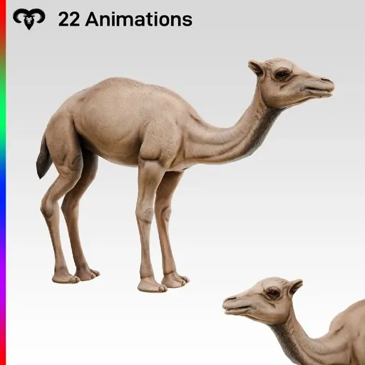 Camel Baby Animated