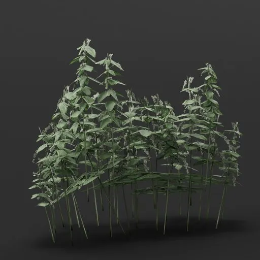 Nettle Bush Wide 2