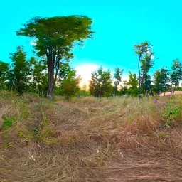 Hillside Trail Sunny Mountain Terrain