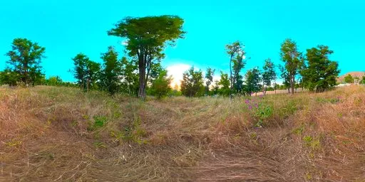Hillside Trail Sunny Mountain Terrain