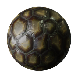 Turtle carapace