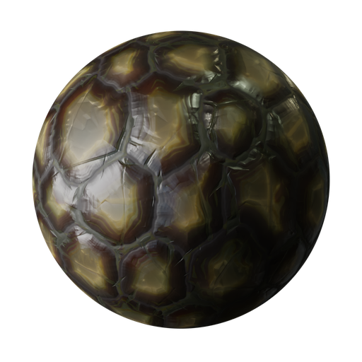 Turtle carapace