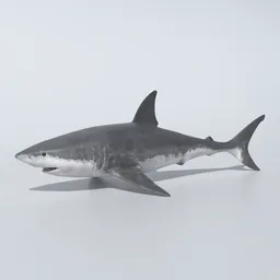 Realstic Animated Shark