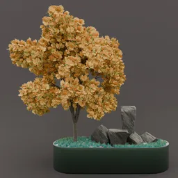 Large outdoor planter and plantation
