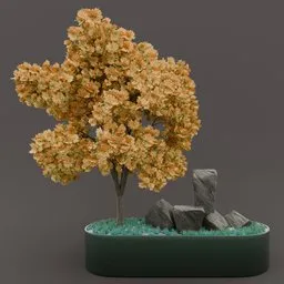 Large outdoor planter and plantation