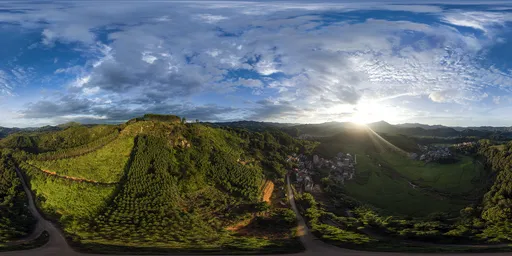 Hill Sunshine
