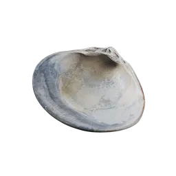 River Shell