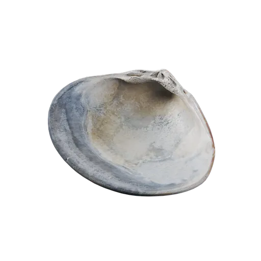 River Shell