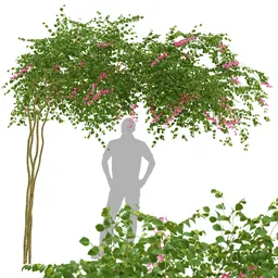 flower plant trellis