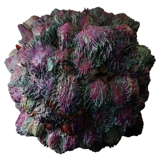 Virus
