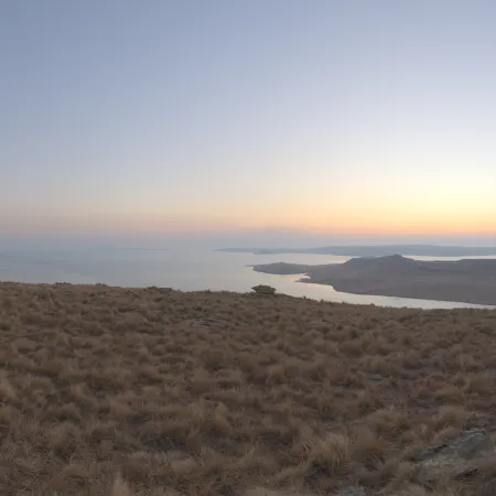 Qwantani Dawn