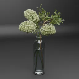 Hydrangea Flowers in Glass Vase