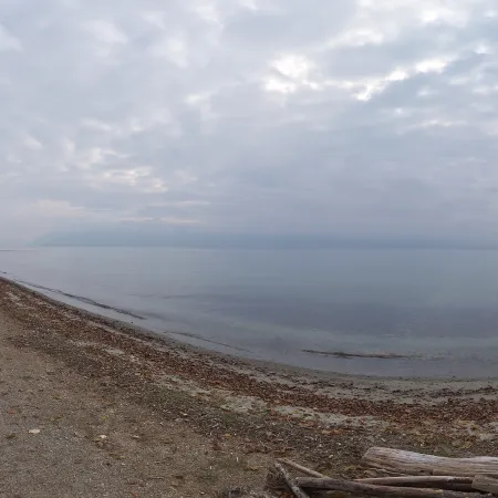 Promenade De Vidy