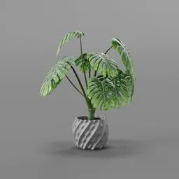 Detailed 3D rendering of a monstera plant with a textured clay pot, compatible with Blender.