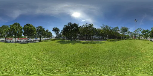 Grass under the sun