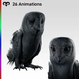 Owl Female Black Animated