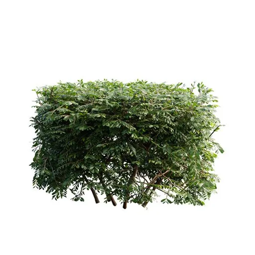 Realistic shrub 3D model with high-resolution textures, ideal for Blender nature scenes, quad mesh topology.