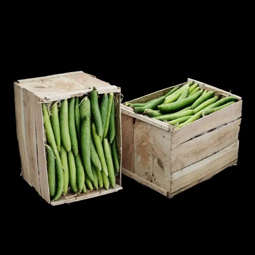 Ridge Gourd Crate
