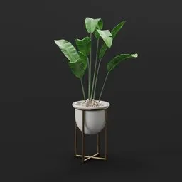 Tropical Banana