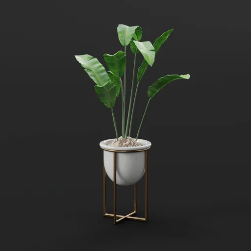 Tropical Banana