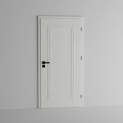 Modern door