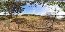 360-degree HDR panorama of a sunny, overgrown, abandoned site by a river with clear blue skies and tree shadows