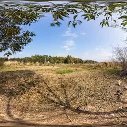 Abandoned sites during the day