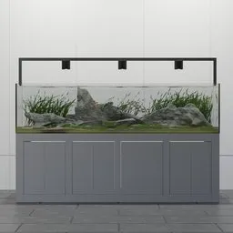 Aquascape Aquarium Tank
