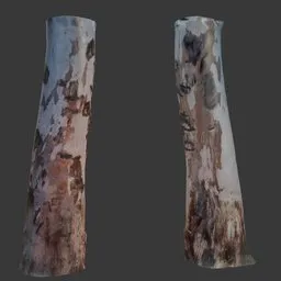 Peeling Bark Tree Trunk