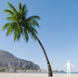 Coconut Tree Rigged and Animated