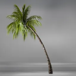 Coconut Tree Rigged and Animated