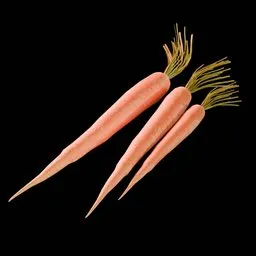 Carrot