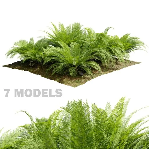 Detailed 3D fern model with 4K textures, quad mesh topology, ready for Blender landscaping projects.