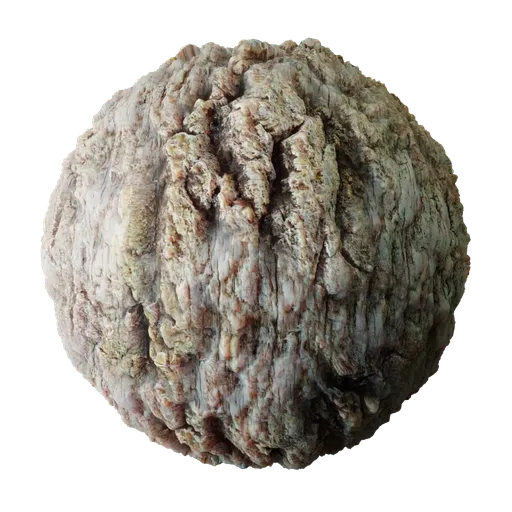 Tree Bark