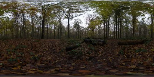 Autumn Ground | FREE Abstract HDRis | Blendkit