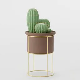 Cactus With Pot Stand