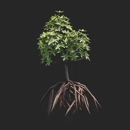 Mangrove Plant + Geometry Nodes + Animation
