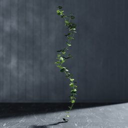 "Artificial Begonia Garland in 3D for Blender: An Indoor Nature Scene with Twisted Ivy Vines, Sparse Floating Particles, and Balanced Lighting. Editable Stem Using Geometry Nodes and Bagapie Addon."