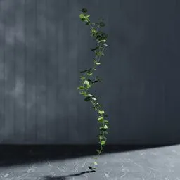 "Artificial Begonia Garland in 3D for Blender: An Indoor Nature Scene with Twisted Ivy Vines, Sparse Floating Particles, and Balanced Lighting. Editable Stem Using Geometry Nodes and Bagapie Addon."