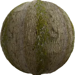 Tree Bark 03