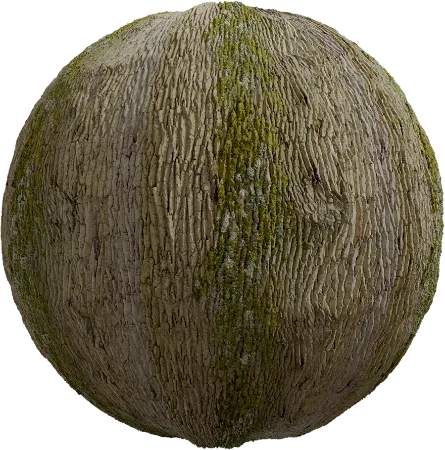 Tree Bark 03