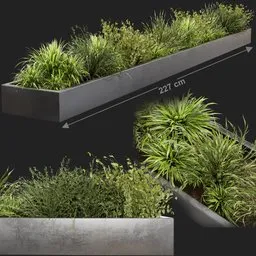 Detailed 3D modeled indoor plant box with diverse foliage, optimized for Blender Cycles rendering.